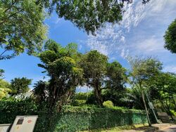 Orchard Road (D9), Detached #519310421